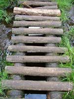 Wooden walkway over the peat bogs of Wolf Gorge