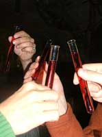 Test Tube drinks at Horror Bar