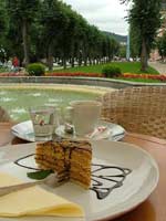 Honeycake in Smetana Gardens