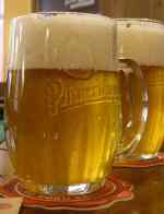 Fresh pilsner urquell